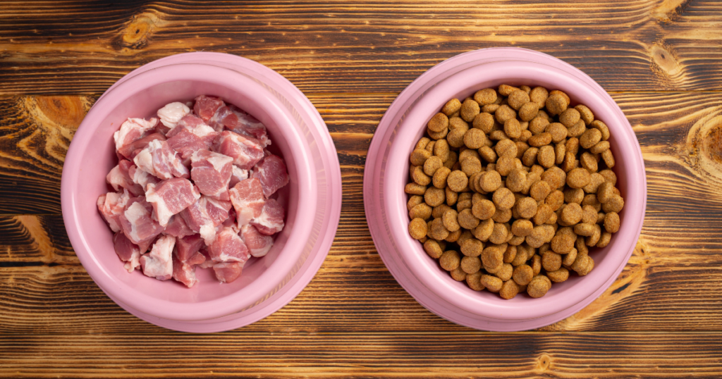 Wet vs. Dry Cat Food: Pros, Cons, and What You Should Know