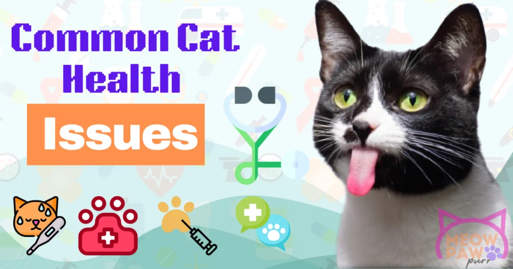 Common Cat Health Issues: What to Watch For