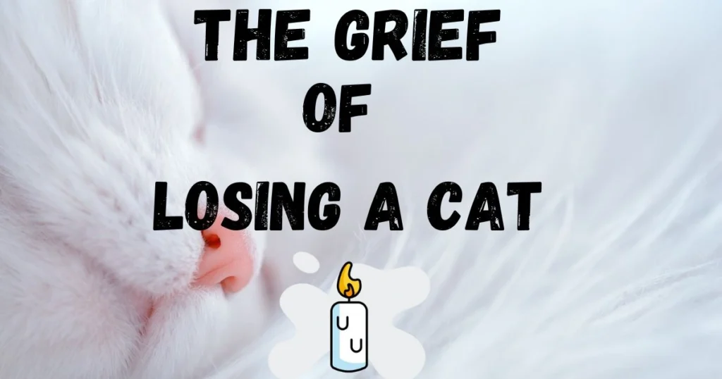 The Grief of Losing a Cat: Finding Comfort in Tough Times