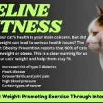Healthy Cat Weight: Tips for Feline Fitness