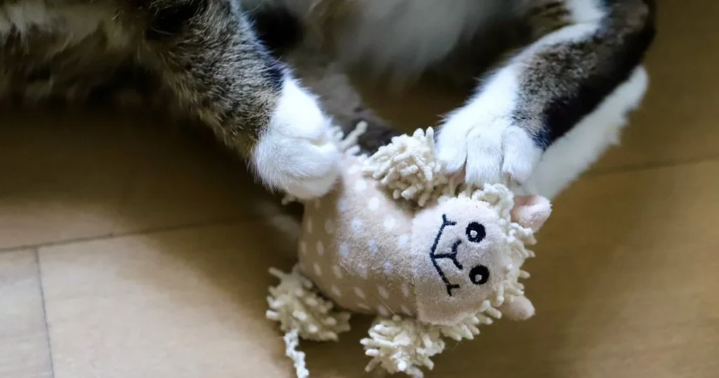 Creative Homemade Cat Toys: Fun and Easy Ideas to Keep Your Feline Entertained