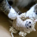 Creative Homemade Cat Toys: Fun and Easy Ideas to Keep Your Feline Entertained